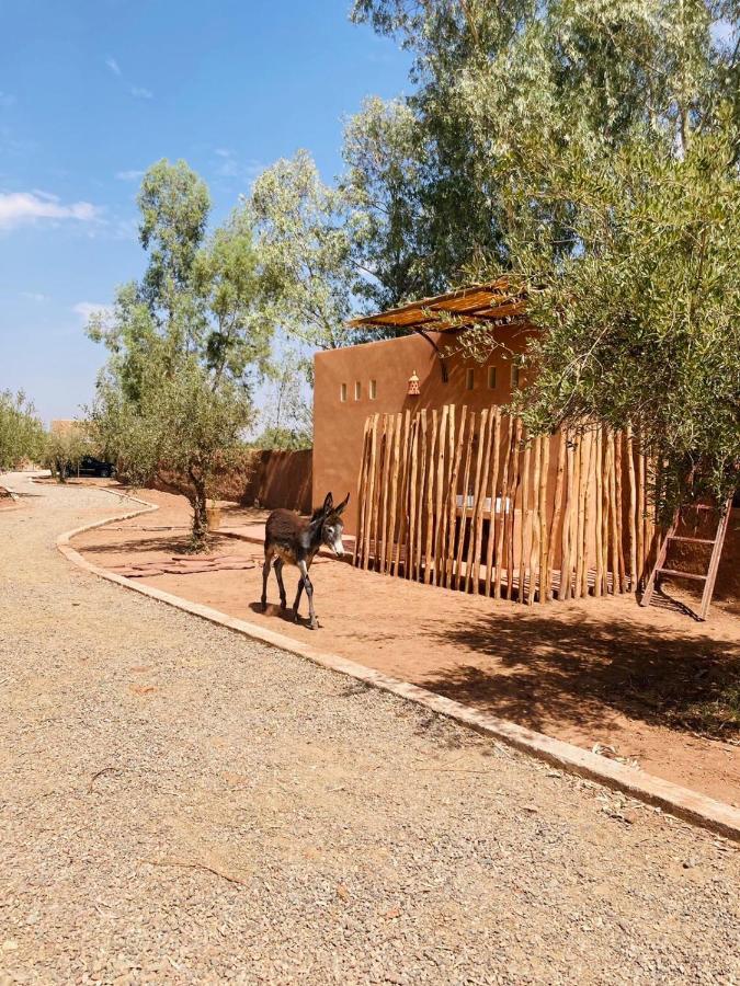 Upupa De L'Atlas Oulad el Guern Екстер'єр фото