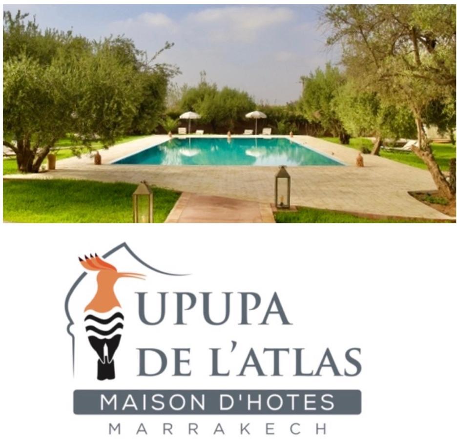 Upupa De L'Atlas Oulad el Guern Екстер'єр фото