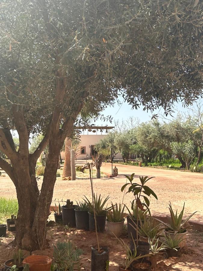 Upupa De L'Atlas Oulad el Guern Екстер'єр фото